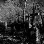 The Old Cemetery  by Freiburg 