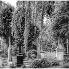 The old cemetery (II)