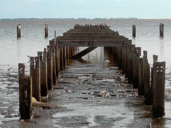 The old docks