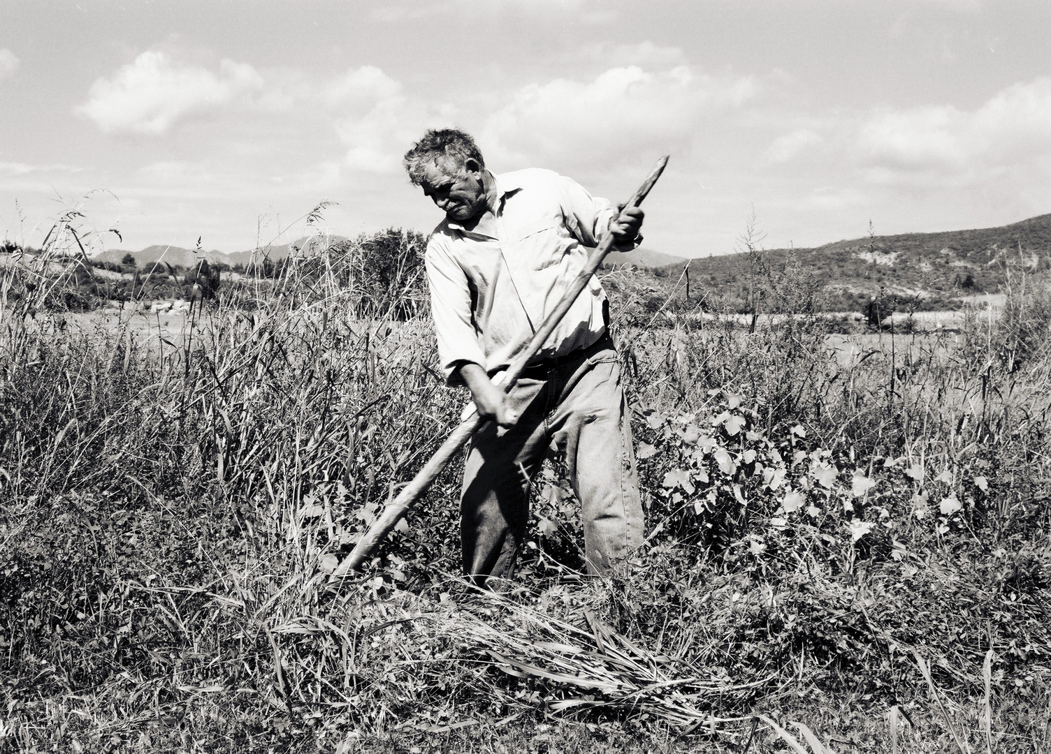 The Old Farmer