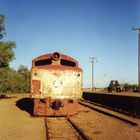 The Old Ghan