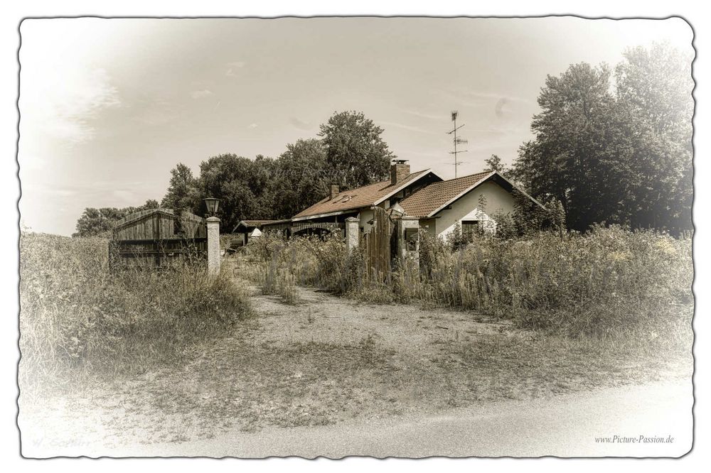 The old House