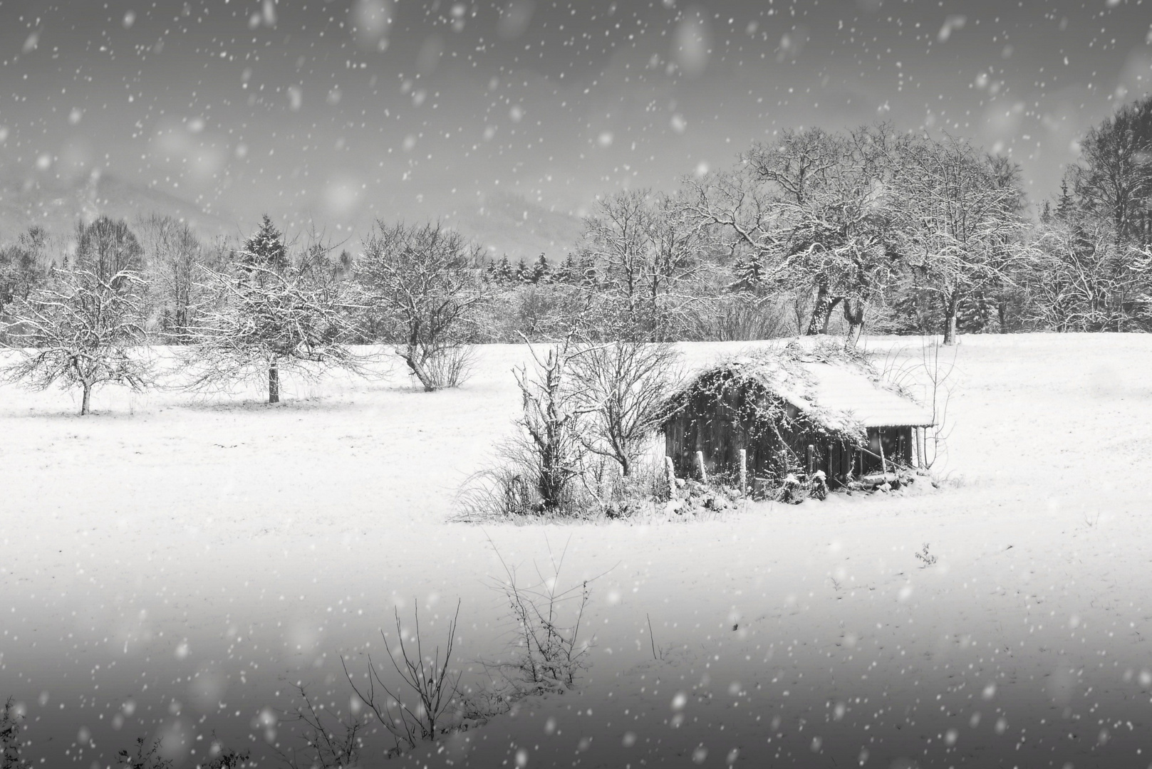 the old hut in the mountains