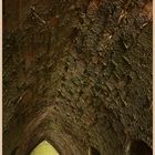 the old lime kilns 2 at holy island