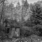 The old little cabin 