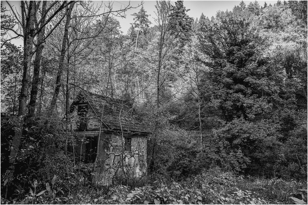 The old little cabin 