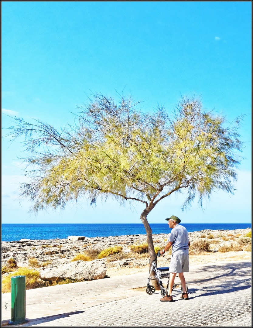 "The Old Man and the Blue Sea"