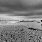 The Old Man and the sea