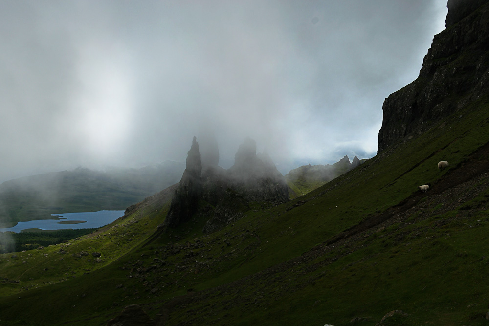 the Old Man in Fog