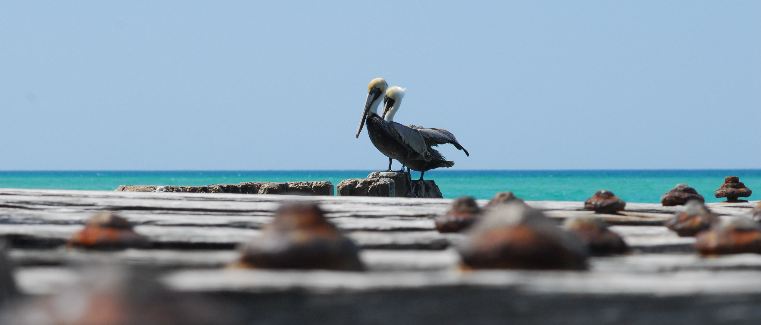 The old Pier of Anna Maria Island