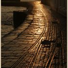 the old quay at swanage early morning 8