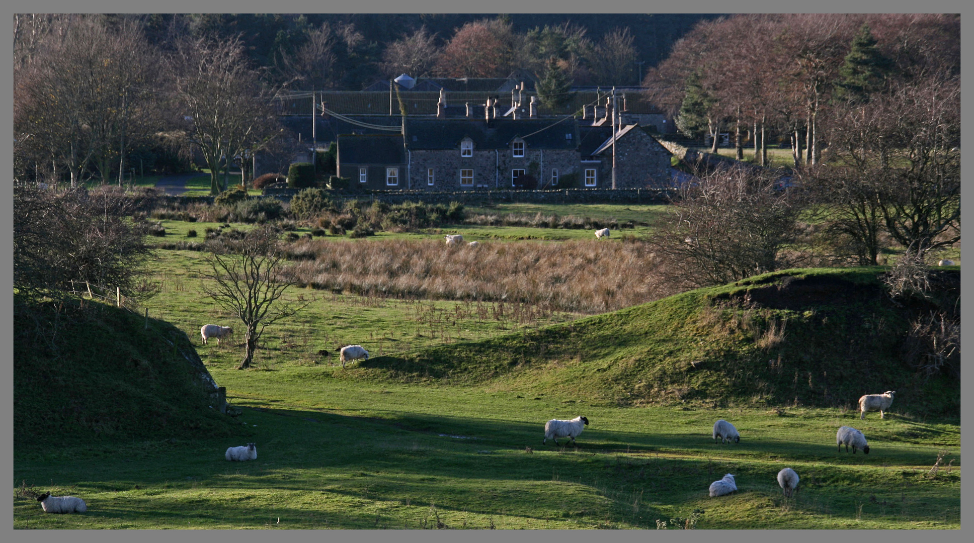 the old railway embankment at westnewton