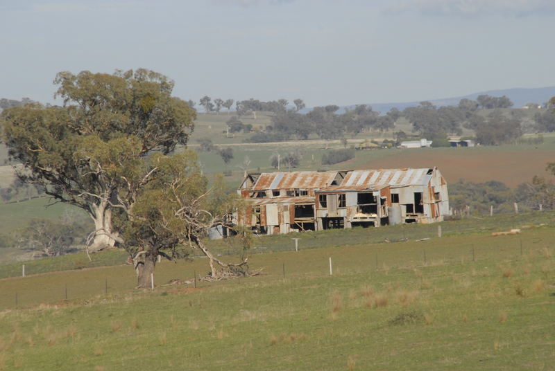 The Old Shearing Shed
