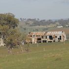 The Old Shearing Shed