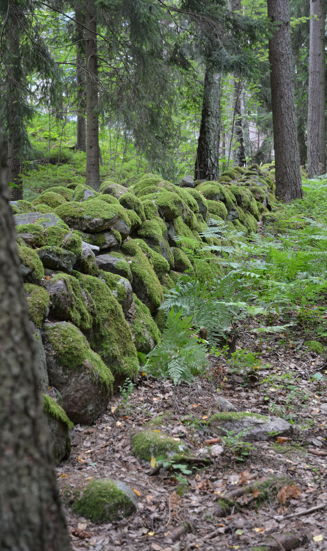 The old stone wall