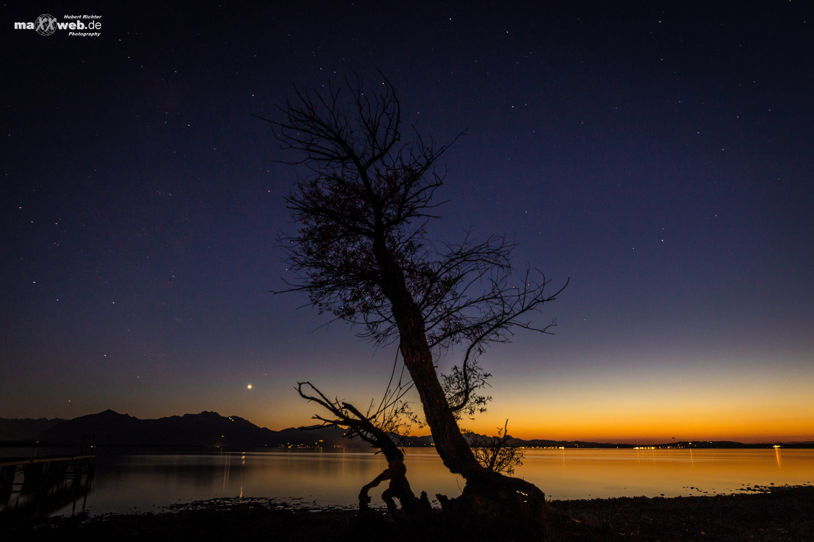 The old Tree and the Lake