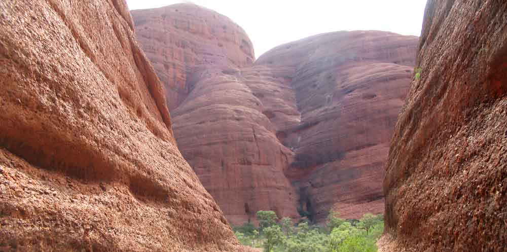 The Olgas