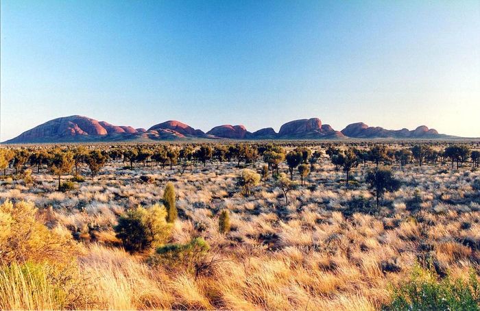 The Olgas at dawn