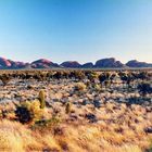 The Olgas at dawn