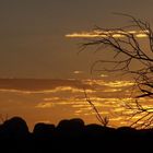 The Olgas bei Sonnenuntergang