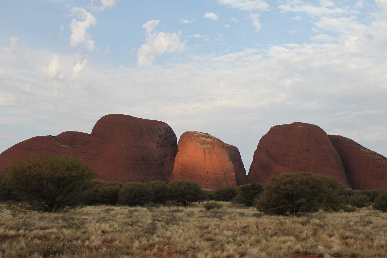 The Olgas