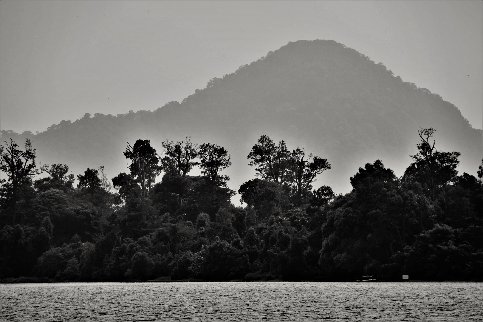 The Orang Utan Island