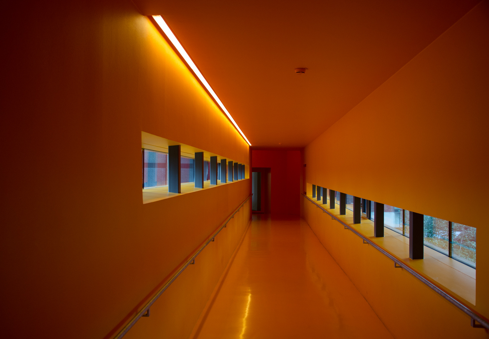 the orange room 