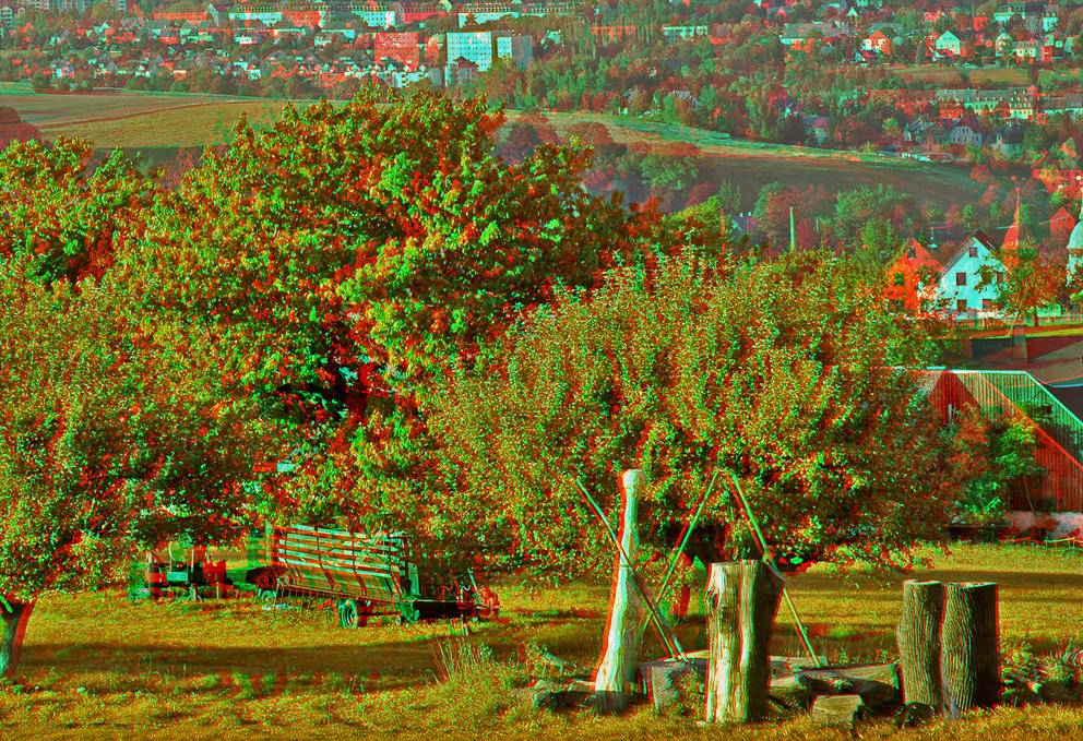 The Orchard 3D