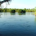 * The Ord river in flood / Kununurra WA *