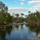 * The Ord River / west of Halls Creek *