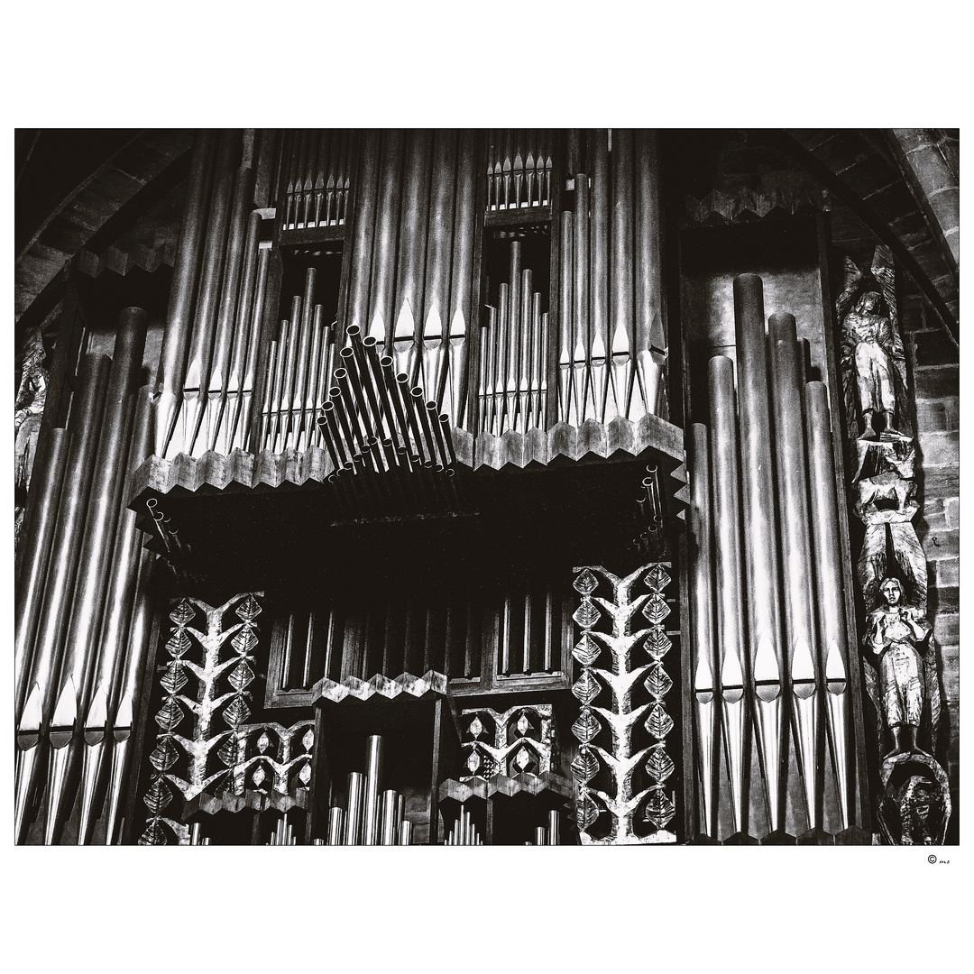 ~ The organ ~