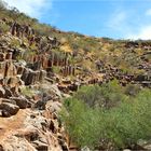 *** The Organ Pipes / Gawler Ranges NP ***