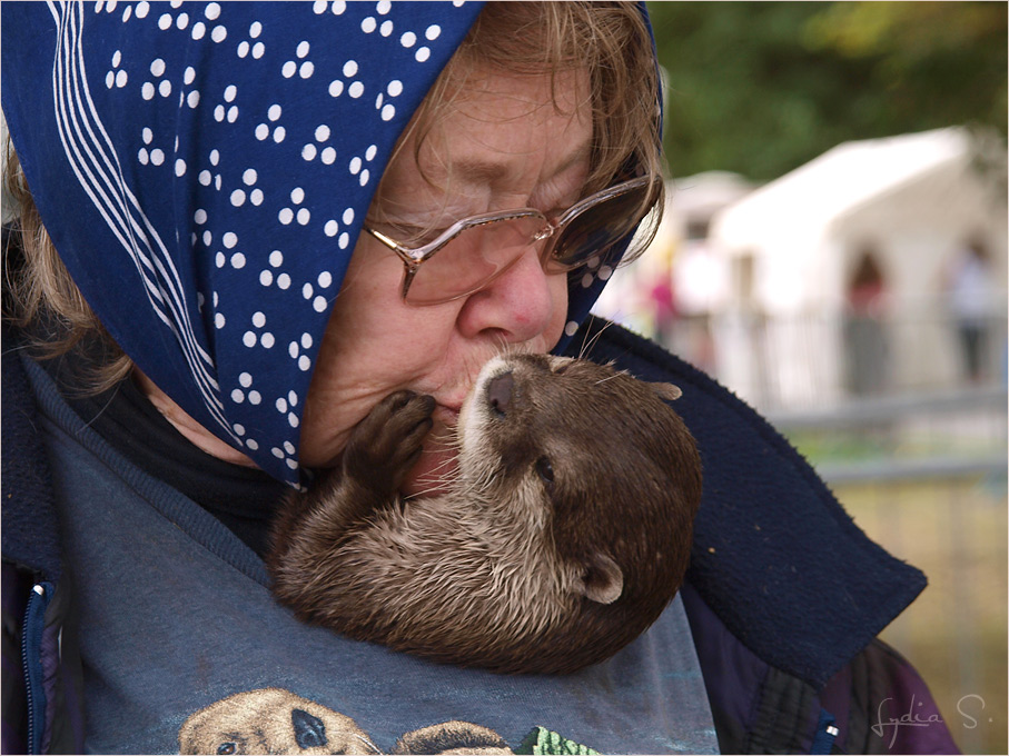 ...The Otter Lady - UK...