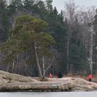 The outdoor activities on Seurasaari