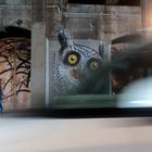 The Owl Under the Railway Bridge