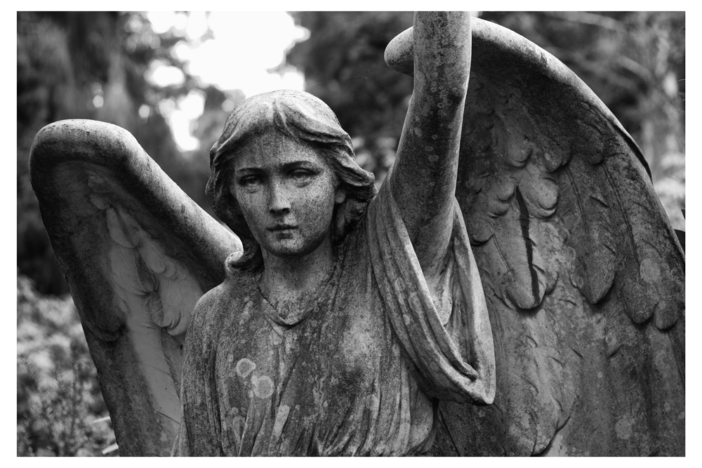 The Oxidising Angel