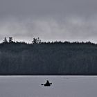 The Paddler