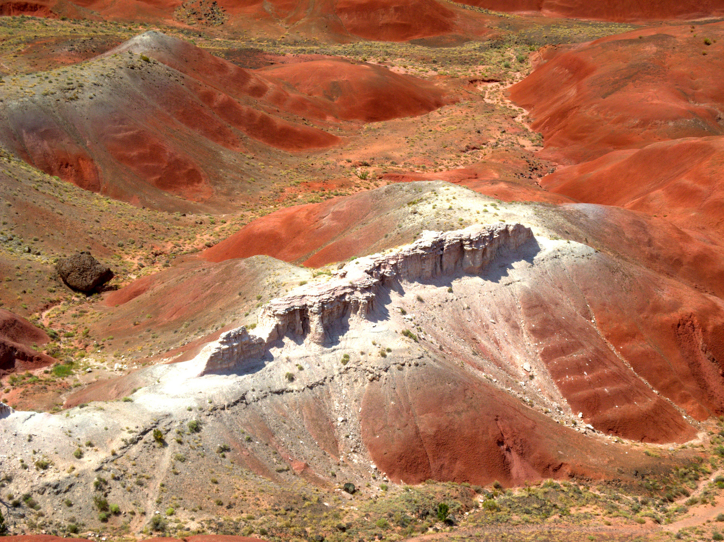 "The painted Desert"