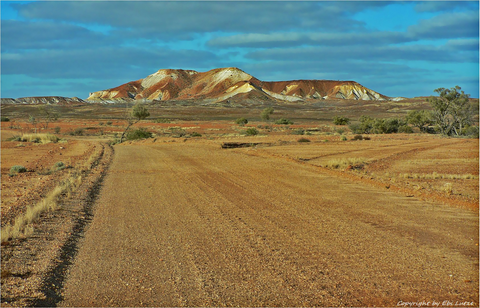 * the Painted Desert *