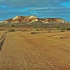 * the Painted Desert *