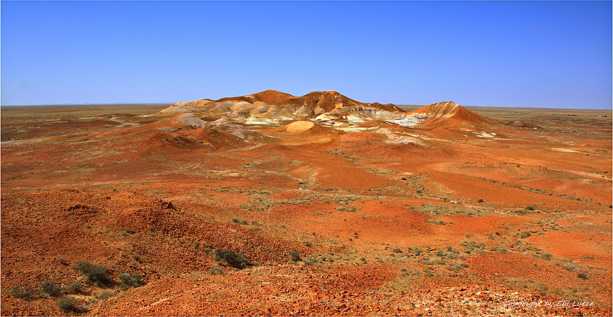 * The painted desert *