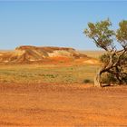 * The Painted Desert / near Oodnadatta * 