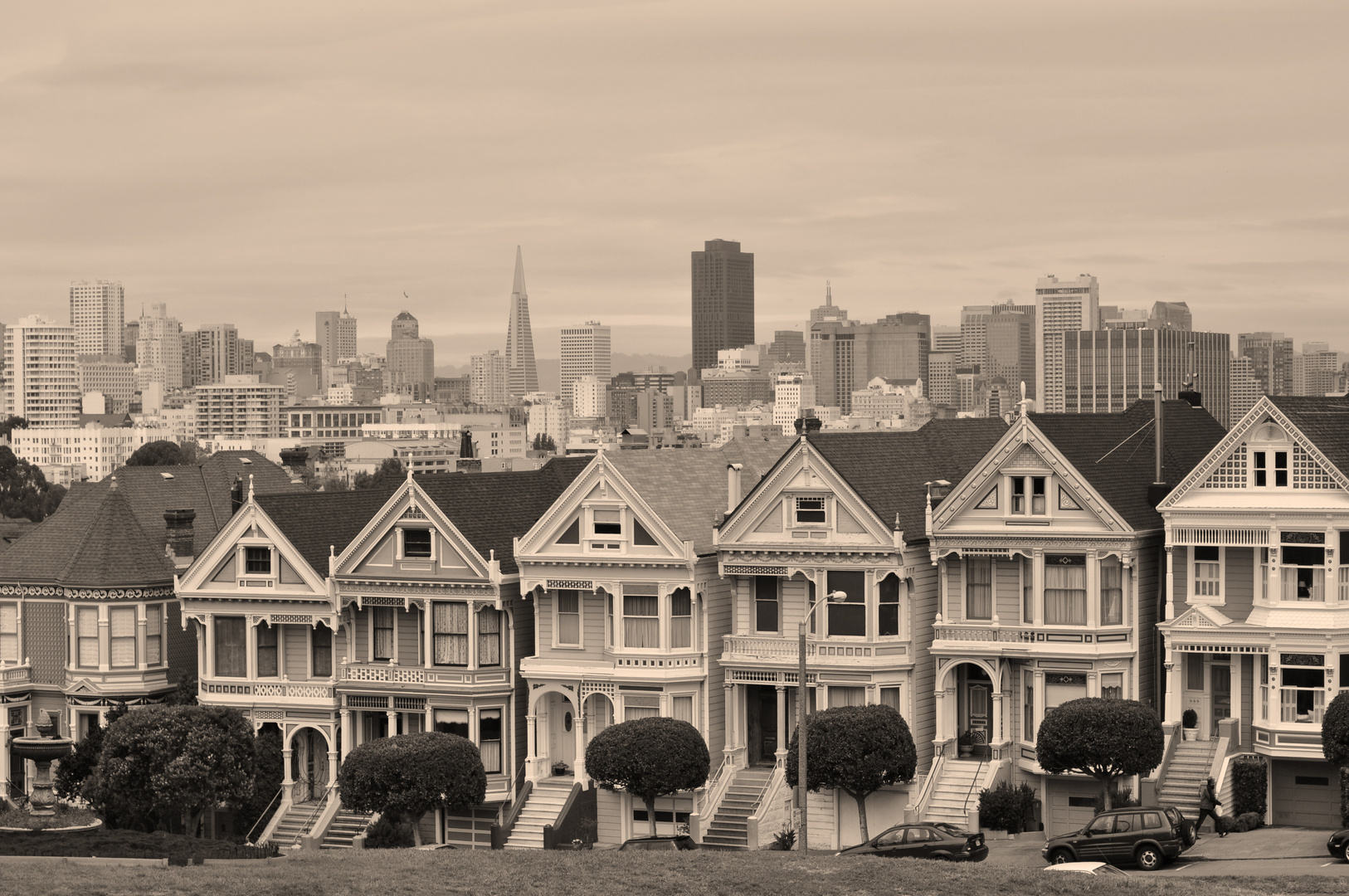 The Painted Ladies in black and white