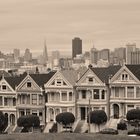 The Painted Ladies in black and white