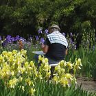 The Painter In The Garden