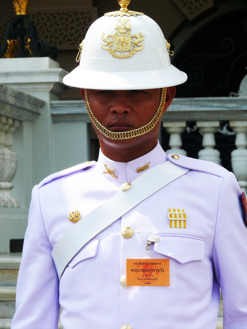 The palace guard