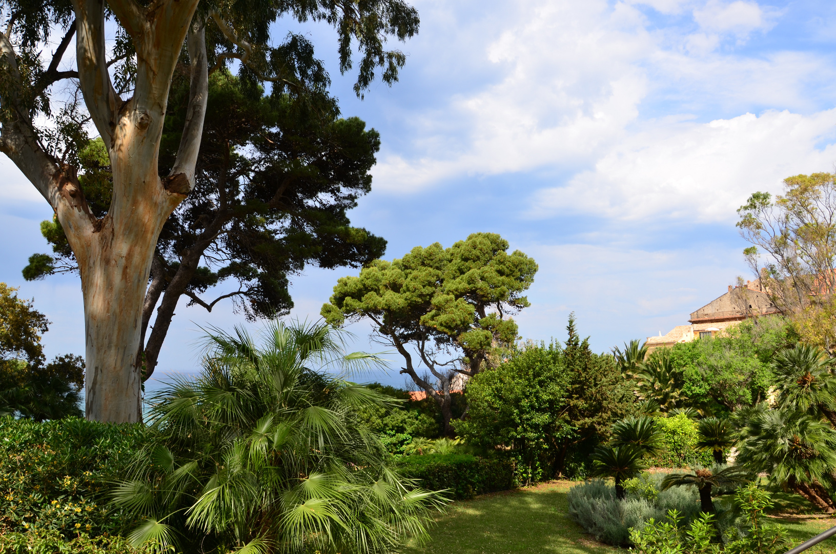 The Palazzo's garden...