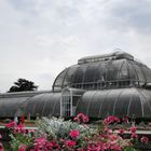 The Palm House in Kew Gardens (officially known as the Royal Botanic Gardens, Kew)