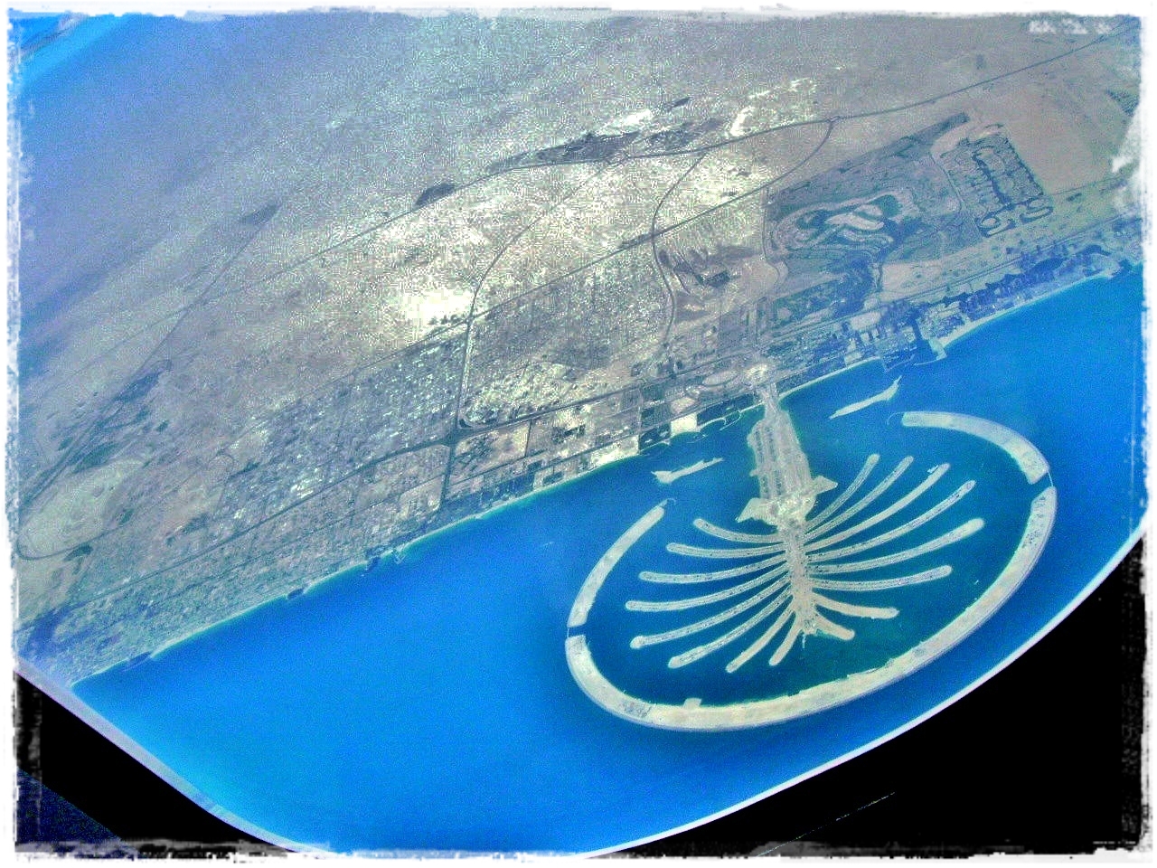 the Palm Jumeirah