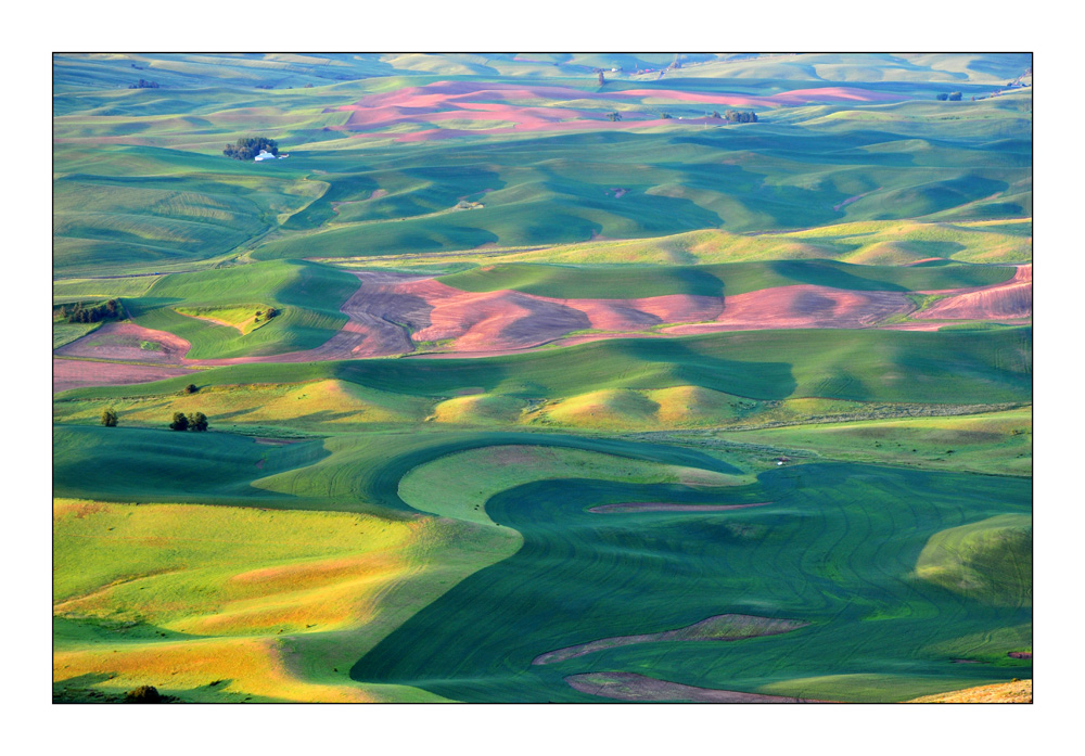 The Palouse